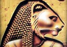 Культы животных в древнем египте Какие животные выделялись в качестве культа